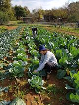 Image may contain: 1 person, plant, tree, flower, outdoor and nature